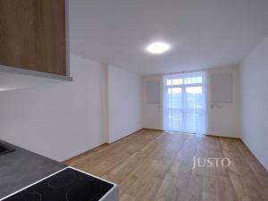 Pronájem bytu 1+kk, Čížová - Topělec, 27 m2