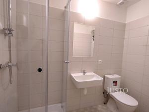 Pronájem bytu 1+kk, Čížová - Topělec, 27 m2