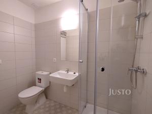 Pronájem bytu 1+kk, Čížová - Topělec, 23 m2