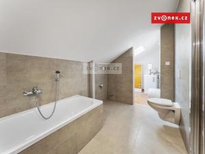 Pronájem bytu 3+kk, Sazovice, 61 m2