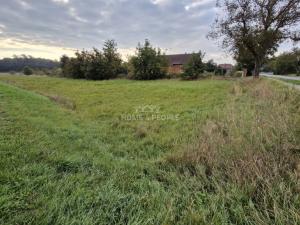 Prodej pozemku pro bydlení, Cvrčovice, 2765 m2