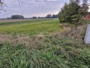 Prodej pozemku pro bydlení, Cvrčovice, 2765 m2