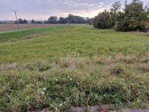 Prodej pozemku pro bydlení, Cvrčovice, 2765 m2