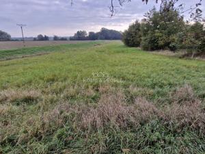 Prodej pozemku pro bydlení, Cvrčovice, 2765 m2