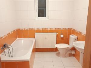 Pronájem bytu 2+kk, Teplice, Masarykova třída, 58 m2