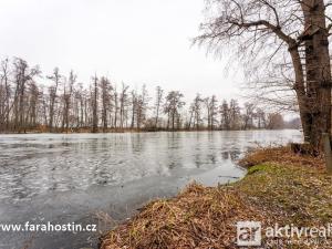 Prodej rodinného domu, Hostín u Vojkovic, 280 m2