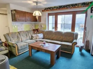 Prodej rodinného domu, Bor - Ostrov, Ostrov, 159 m2