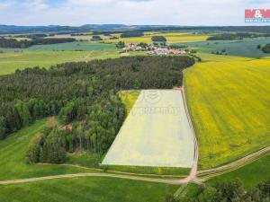 Prodej zemědělské půdy, Ostrov u Bezdružic, 49419 m2