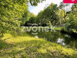 Prodej rybníku, Prlov, 7474 m2