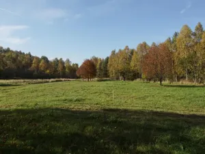 Prodej vícegeneračního domu, Stráž pod Ralskem, 500 m2