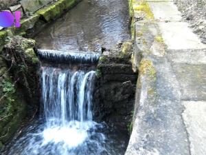 Prodej zahrady, Bystřice pod Hostýnem, Hostýnská, 1010 m2