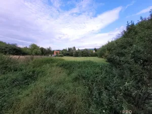 Prodej zahrady, Lipník nad Bečvou, 1480 m2