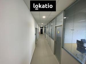 Pronájem skladu, Olomouc, 4479 m2