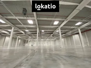 Pronájem skladu, Olomouc, Hněvotínská, 3700 m2