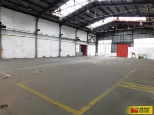 Pronájem skladu, Těšetice, 800 m2