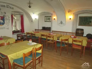 Prodej restaurace, Luka nad Jihlavou, Hřbitovní, 688 m2