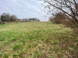 Prodej pozemku pro bydlení, Tršice, 2341 m2