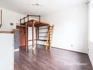 Pronájem bytu 1+kk, Praha - Michle, Michelská, 25 m2
