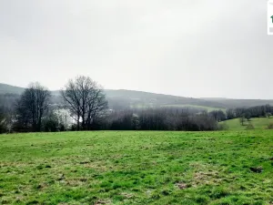 Prodej pozemku, Cheb - Cetnov, 11773 m2