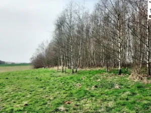 Prodej pozemku, Cheb, Nad Jezem, 11773 m2