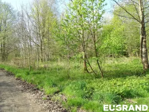 Prodej pozemku, Varnsdorf, 800 m2