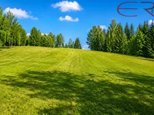 Prodej trvalého travního porostu, Janov nad Nisou - Hraničná, 2521 m2
