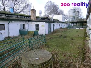 Prodej zemědělského objektu, Majdalena, 2000 m2