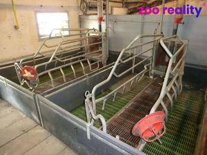 Prodej zemědělského objektu, Majdalena, 2000 m2