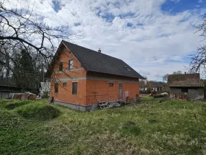 Prodej rodinného domu, Velký Borek, Partyzánská, 863 m2
