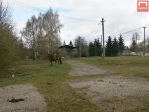 Prodej zemědělské usedlosti, Šternberk - Dalov, 4507 m2