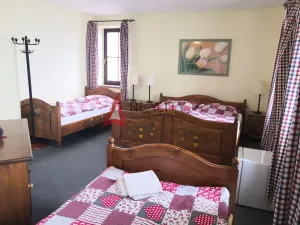 Prodej ubytování, Přimda, Pod Hradem, 500 m2