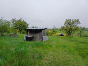 Prodej zahrady, Střelice, 690 m2