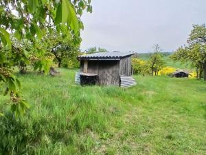 Prodej zahrady, Střelice, 690 m2