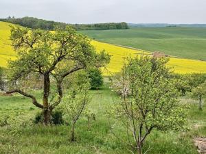 Prodej zahrady, Střelice, 690 m2