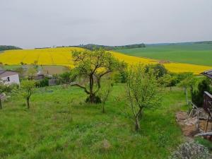 Prodej zahrady, Střelice, 690 m2