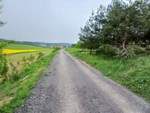 Prodej zahrady, Střelice, 690 m2