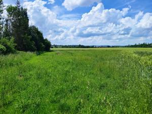 Prodej pozemku pro bydlení, Bílá Lhota - Řimice, 1276 m2