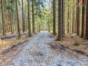 Prodej pozemku pro bydlení, Staré Hamry, 69322 m2