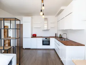 Pronájem bytu 2+kk, Praha - Žižkov, Biskupcova, 44 m2