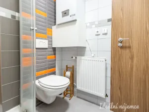 Pronájem bytu 2+kk, Praha - Žižkov, Biskupcova, 44 m2