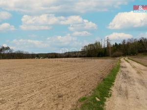 Prodej zemědělské půdy, Předenice, 5839 m2