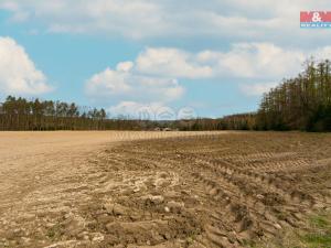 Prodej zemědělské půdy, Předenice, 5839 m2