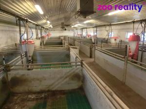 Prodej obchodního prostoru, Majdalena, 2000 m2