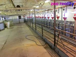 Prodej obchodního prostoru, Majdalena, 2000 m2