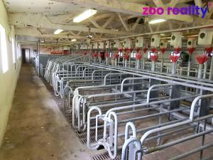 Prodej obchodního prostoru, Majdalena, 2000 m2