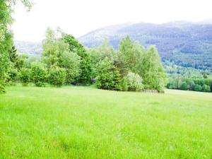 Prodej pozemku pro bydlení, Železná Ruda - Hojsova Stráž, 16959 m2