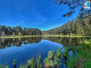 Prodej rybníku, Trstěnice, Trstěnice, 16545 m2