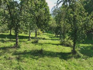 Prodej sadu/vinice, Vojkovice - Jakubov, 199287 m2