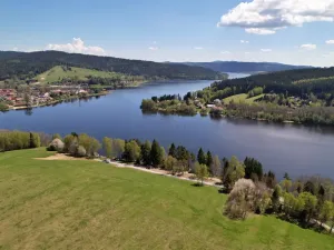 Prodej pozemku pro bydlení, Frymburk, 481 m2