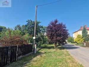 Prodej pozemku pro bydlení, Lešná, 1060 m2